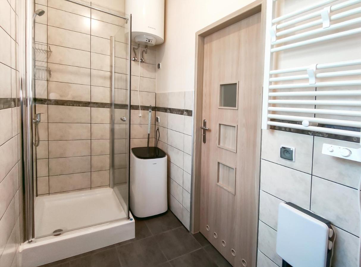 Alpejski Duzy Apartment *